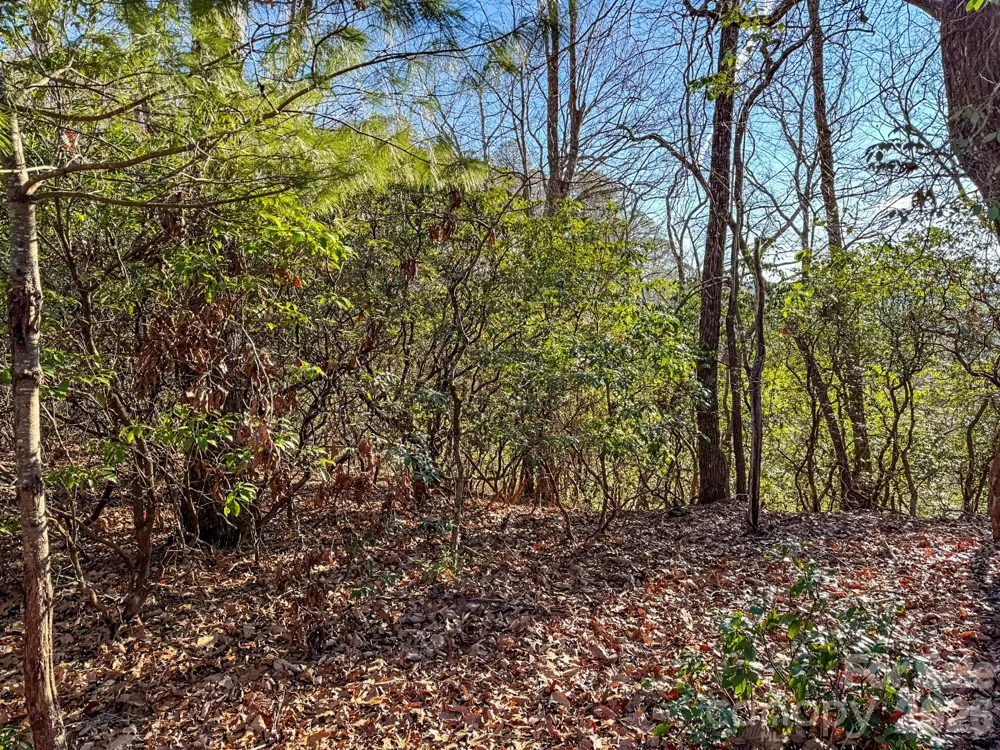 1647 Mills River Way Horse Shoe, NC 28742