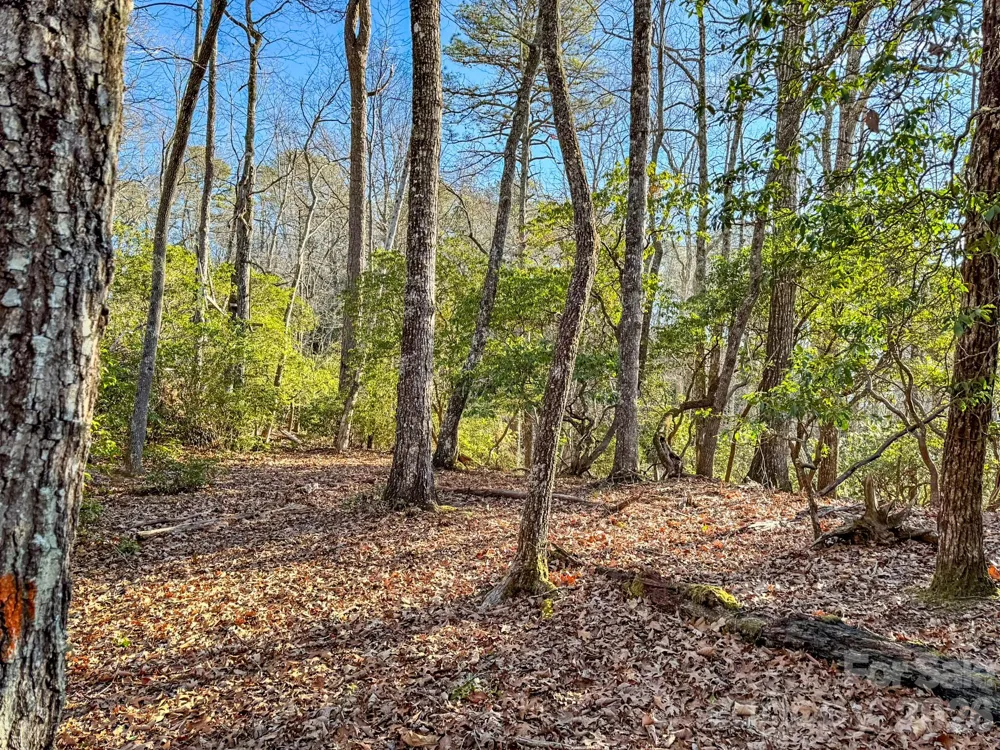 1647 Mills River Way Horse Shoe, NC 28742