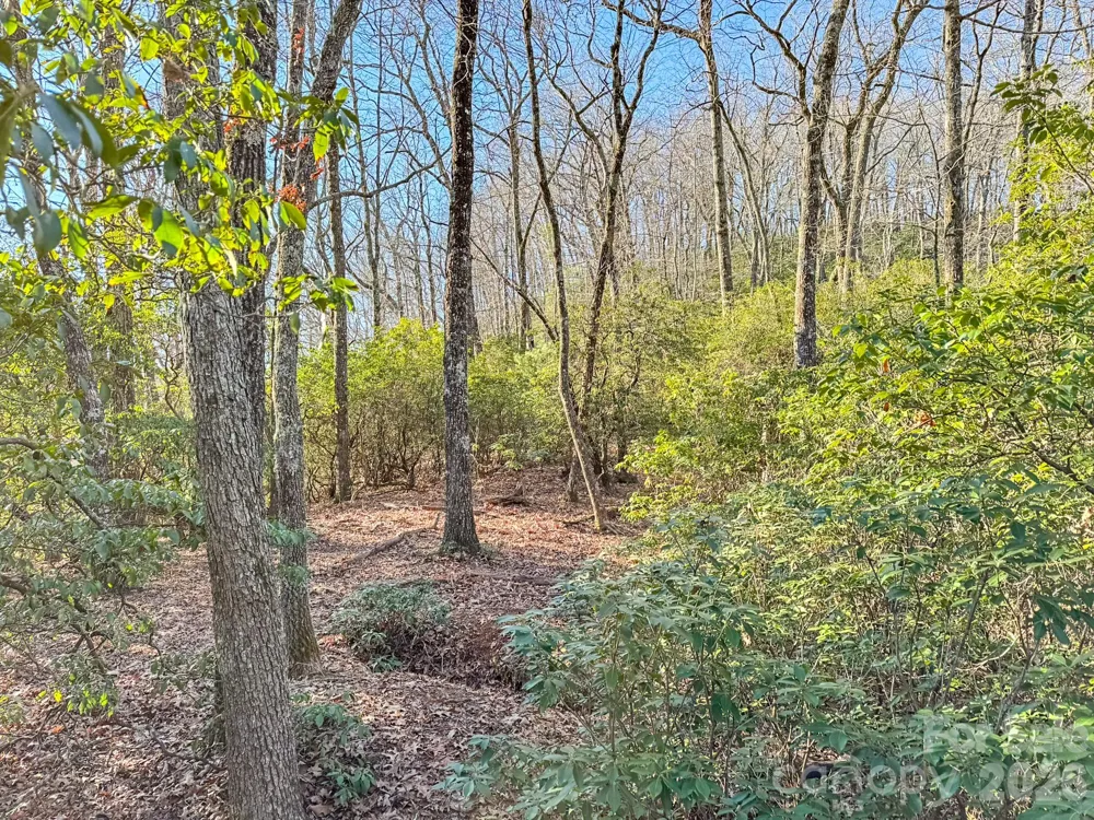 1647 Mills River Way Horse Shoe, NC 28742