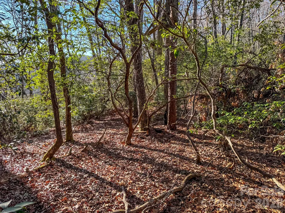 1647 Mills River Way Horse Shoe, NC 28742