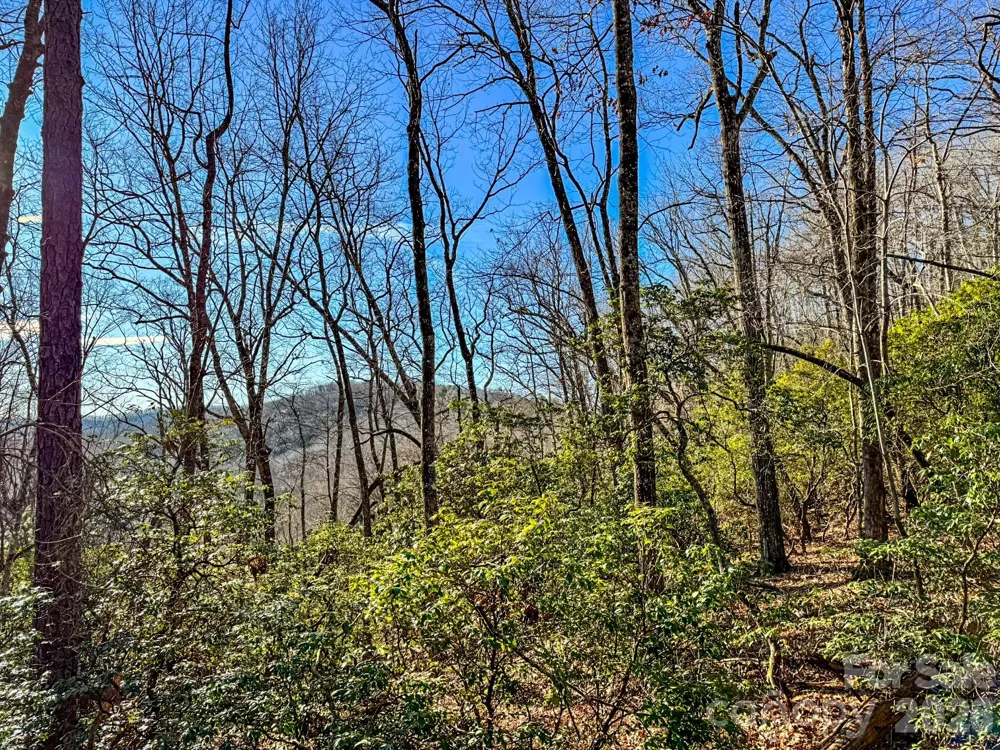 1647 Mills River Way Horse Shoe, NC 28742