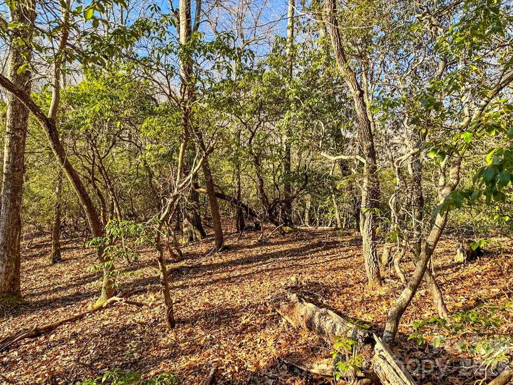 1647 Mills River Way Horse Shoe, NC 28742