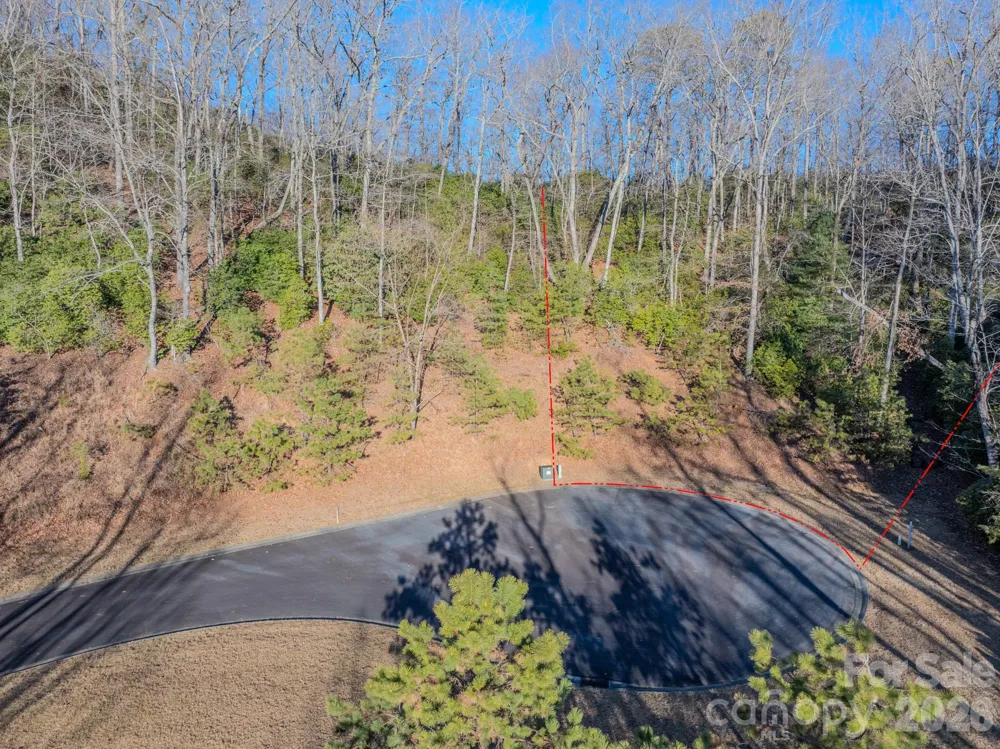 1647 Mills River Way Horse Shoe, NC 28742