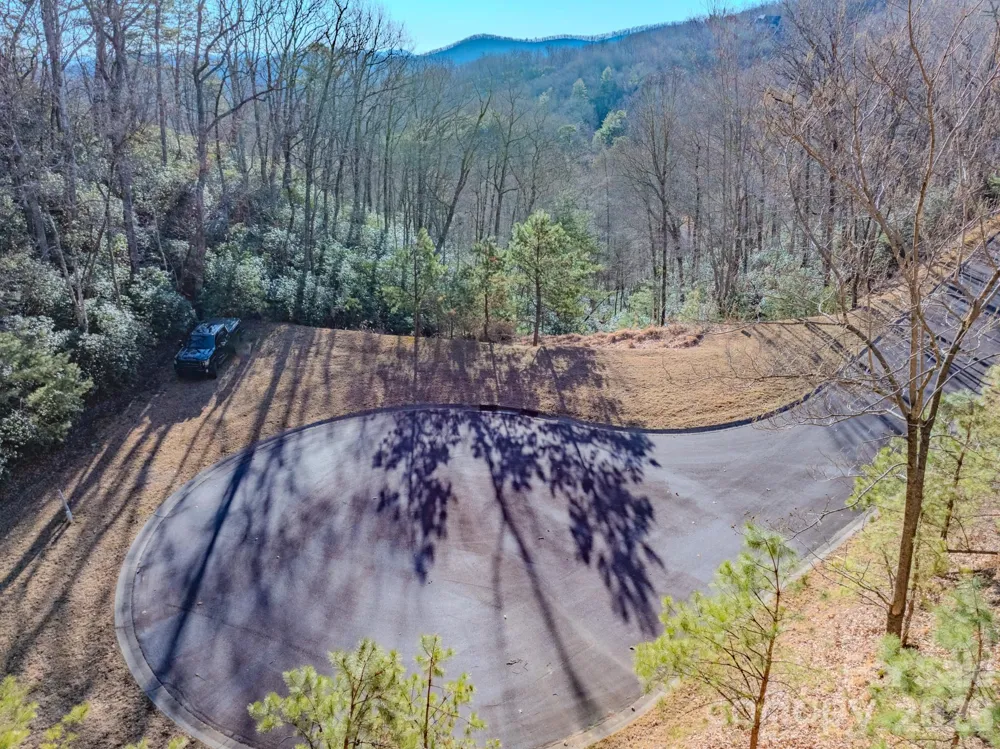 1647 Mills River Way Horse Shoe, NC 28742