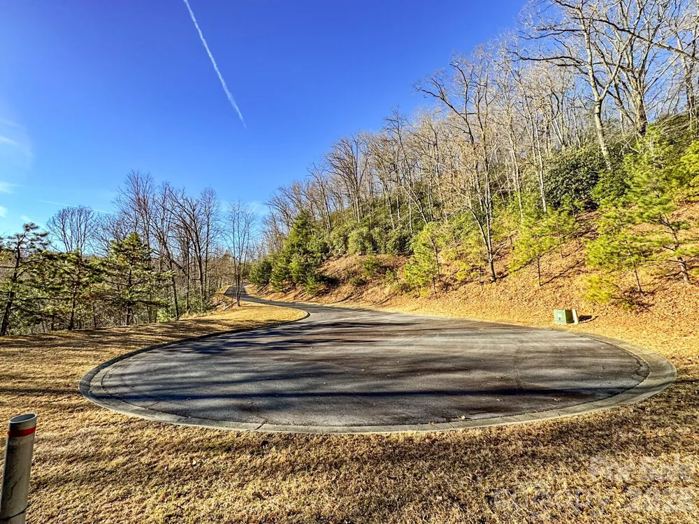 1647 Mills River Way Horse Shoe, NC 28742