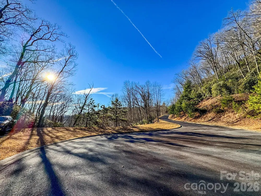 1647 Mills River Way Horse Shoe, NC 28742