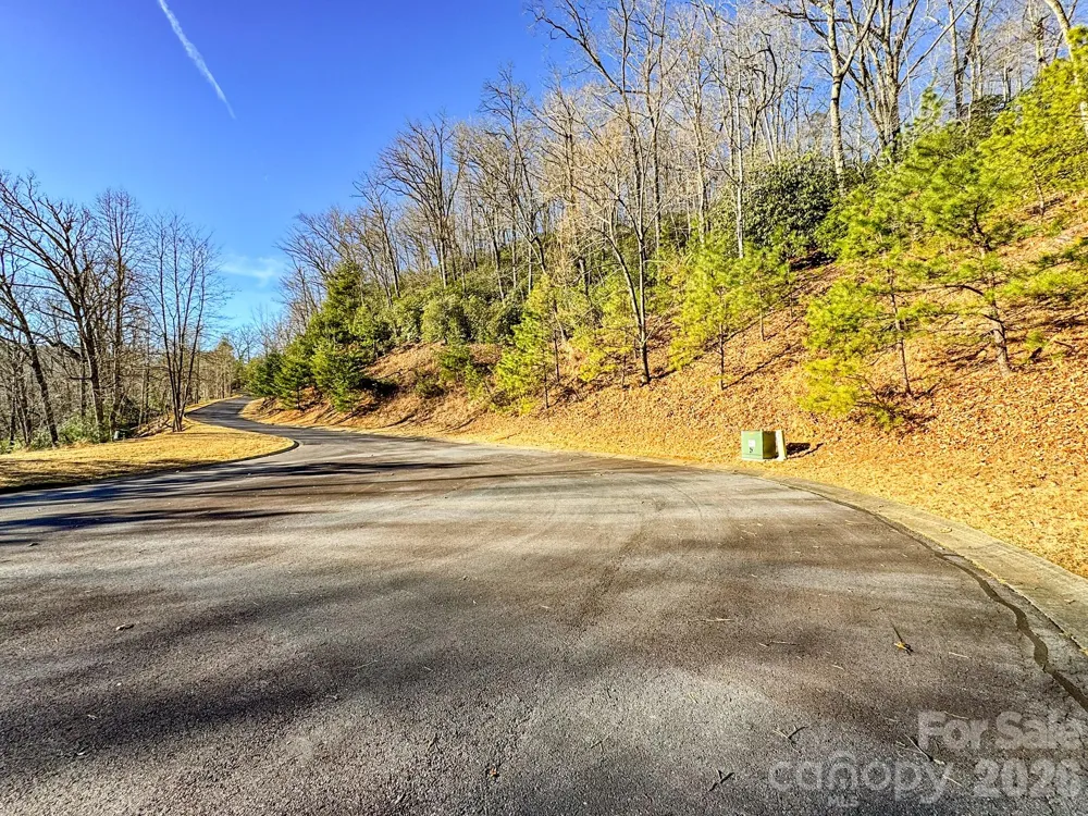 1647 Mills River Way Horse Shoe, NC 28742
