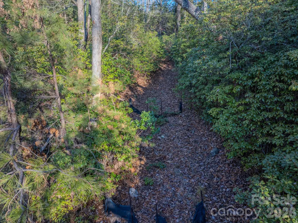 1647 Mills River Way Horse Shoe, NC 28742
