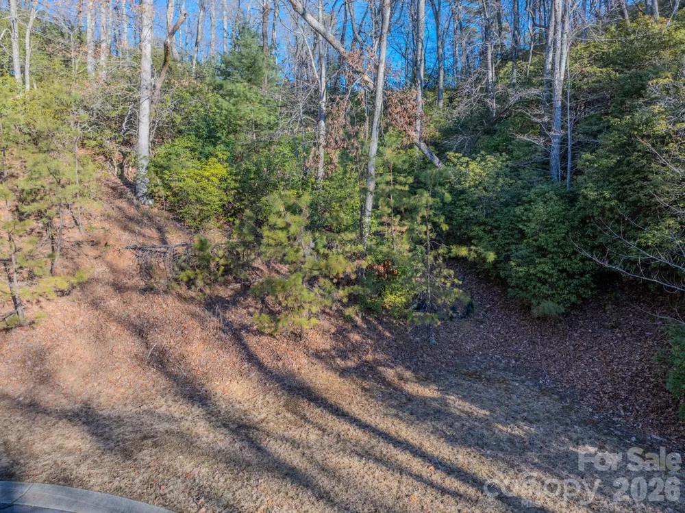 1647 Mills River Way Horse Shoe, NC 28742