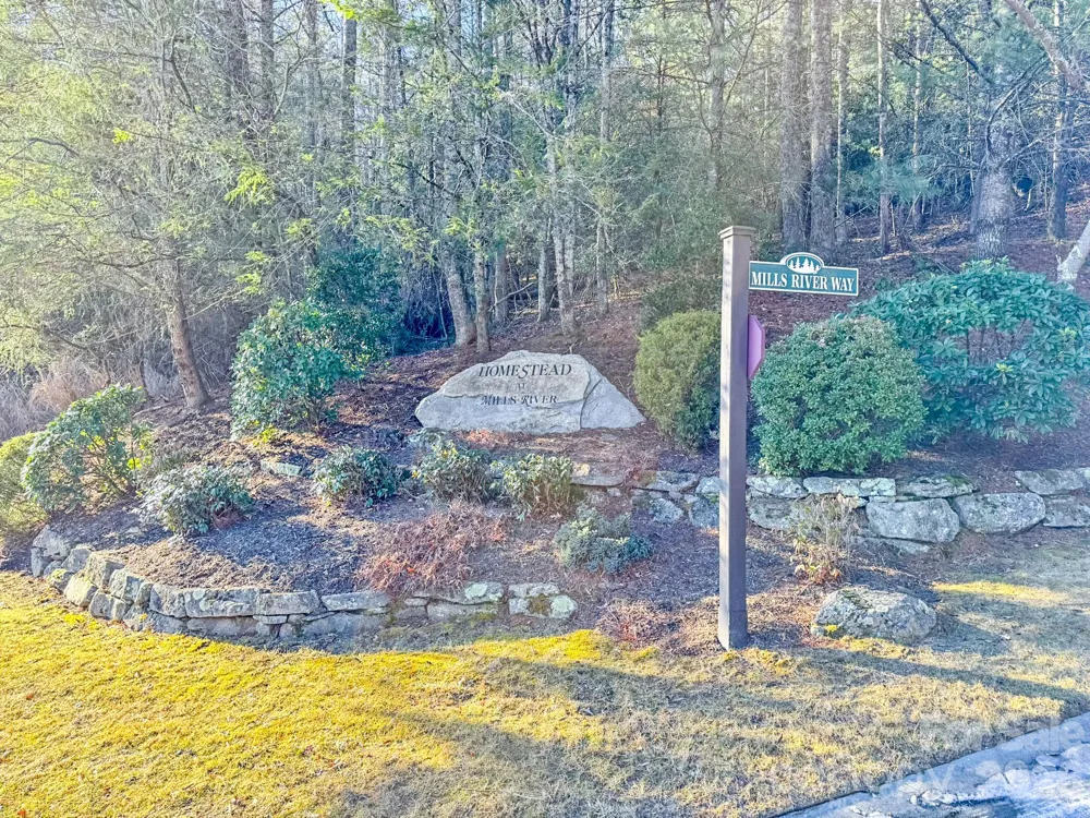 1647 Mills River Way Horse Shoe, NC 28742