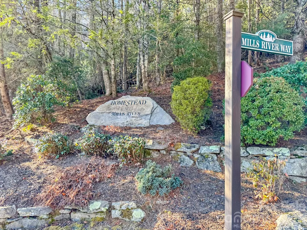 1647 Mills River Way Horse Shoe, NC 28742