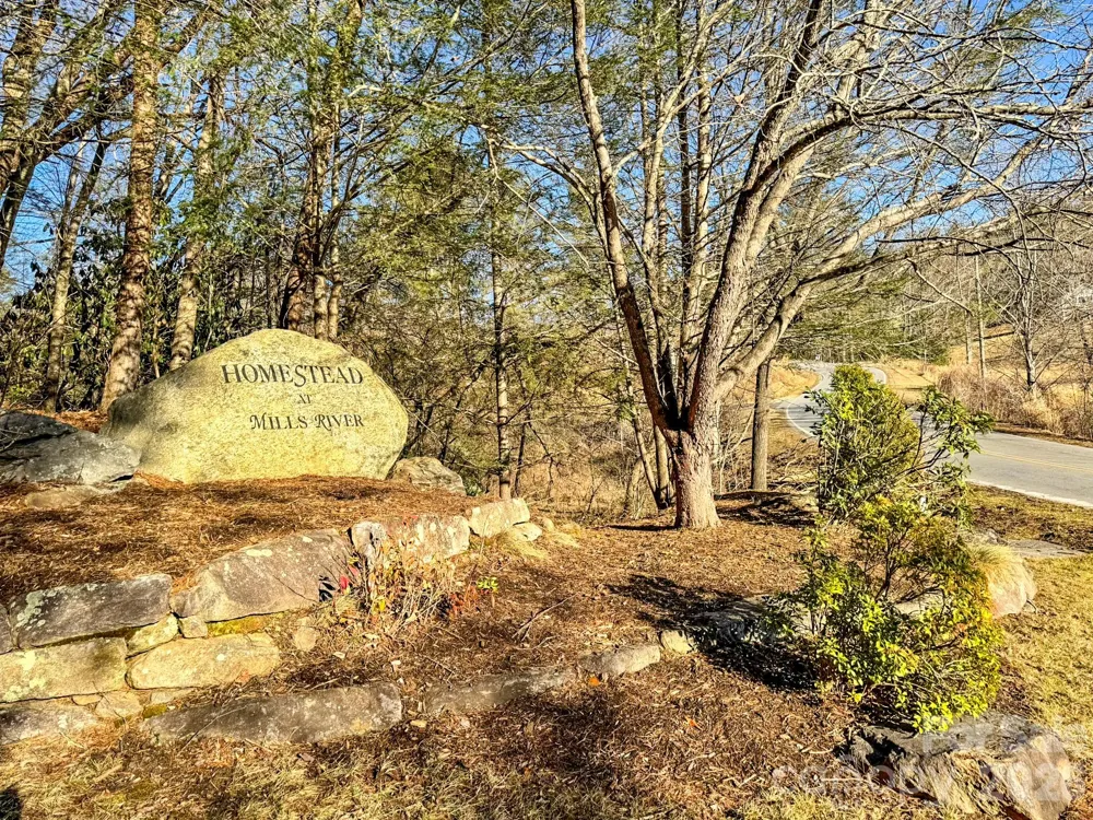 1647 Mills River Way Horse Shoe, NC 28742