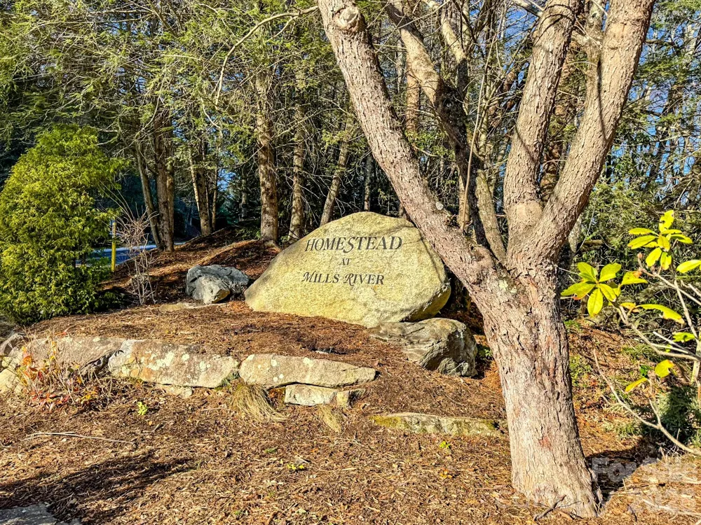 1647 Mills River Way Horse Shoe, NC 28742