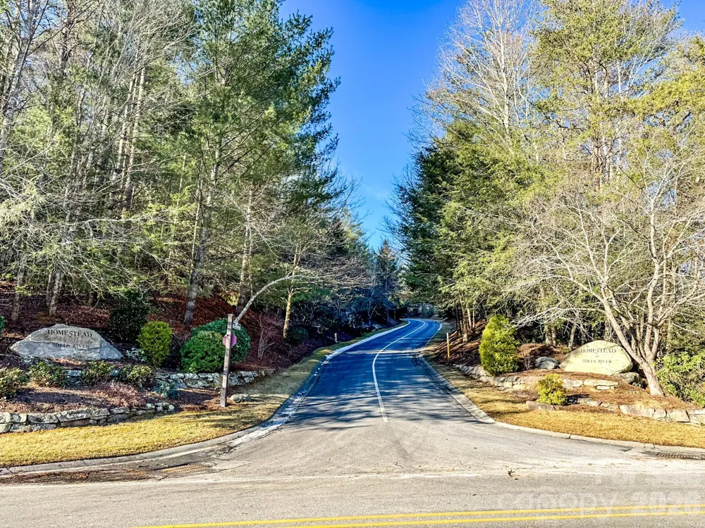 1647 Mills River Way Horse Shoe, NC 28742
