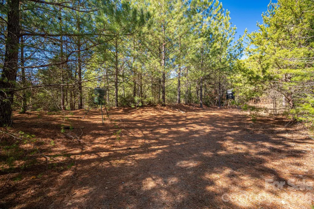 6235 Hwy 18 S Connelly Springs, NC 28612