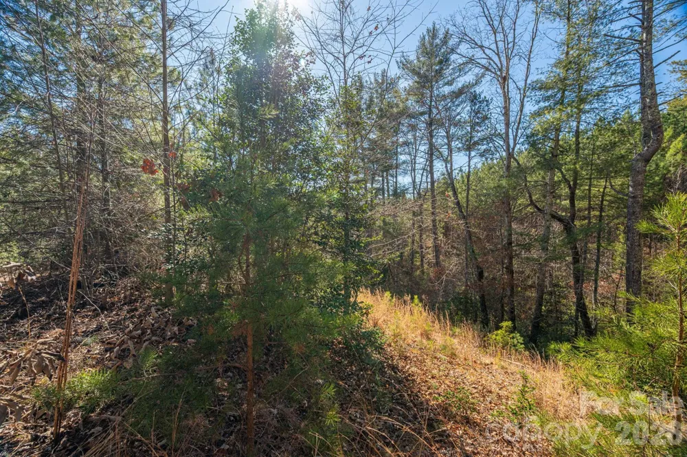 6235 Hwy 18 S Connelly Springs, NC 28612