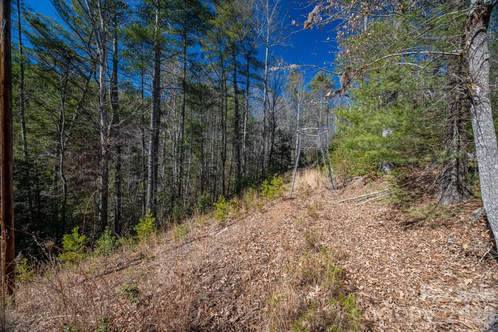 6235 Hwy 18 S Connelly Springs, NC 28612