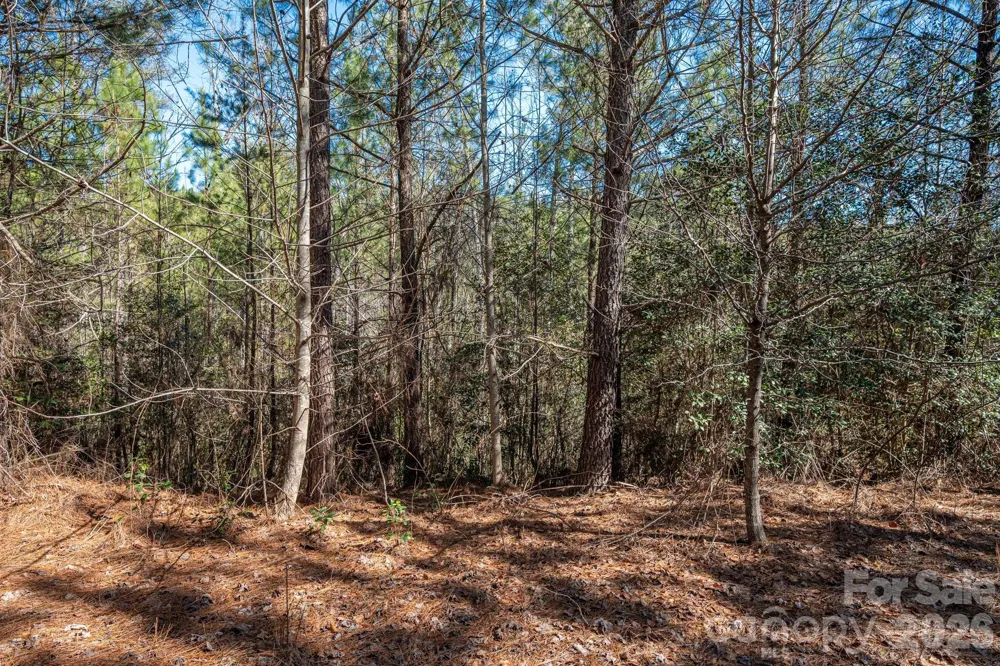 6235 Hwy 18 S Connelly Springs, NC 28612