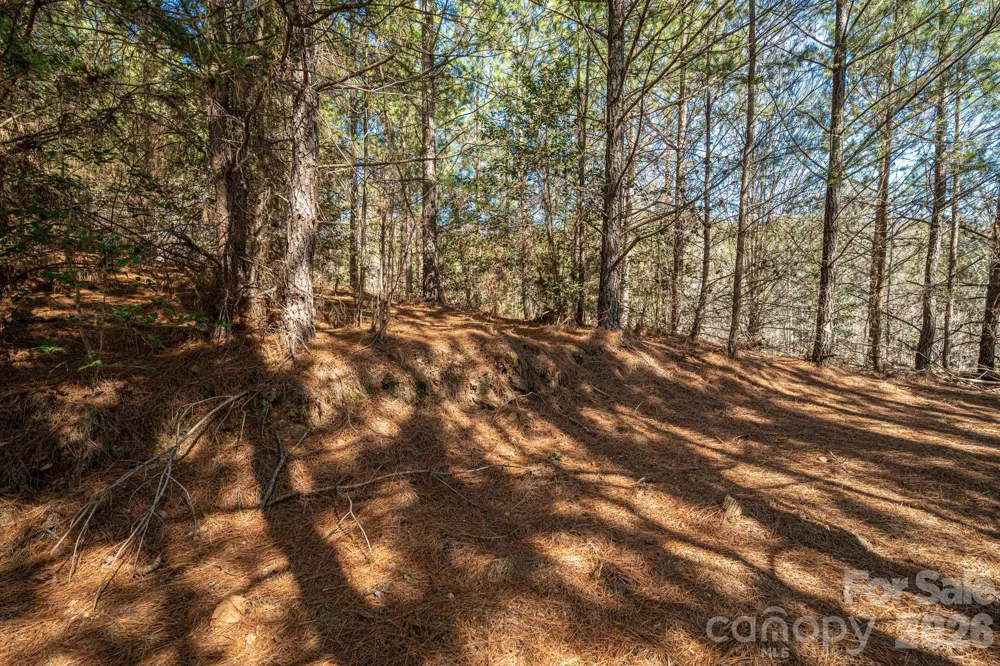 6235 Hwy 18 S Connelly Springs, NC 28612