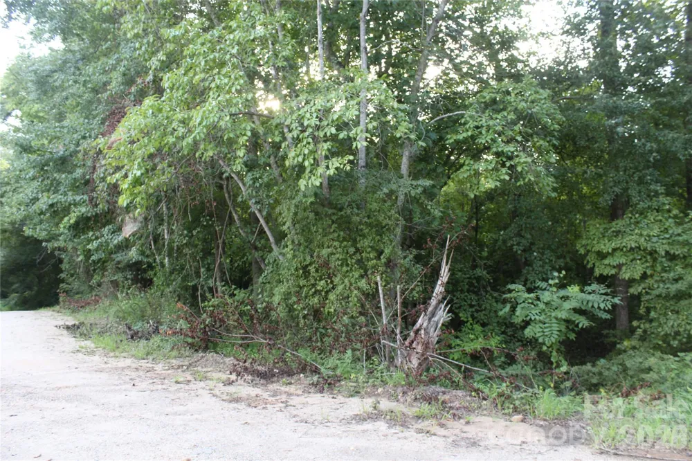 3609 E NC 10 Highway Claremont, NC 28610