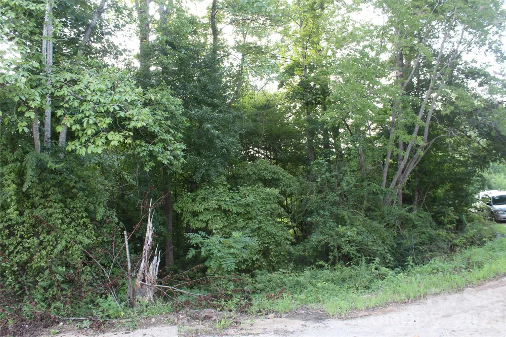 3609 E NC 10 Highway Claremont, NC 28610