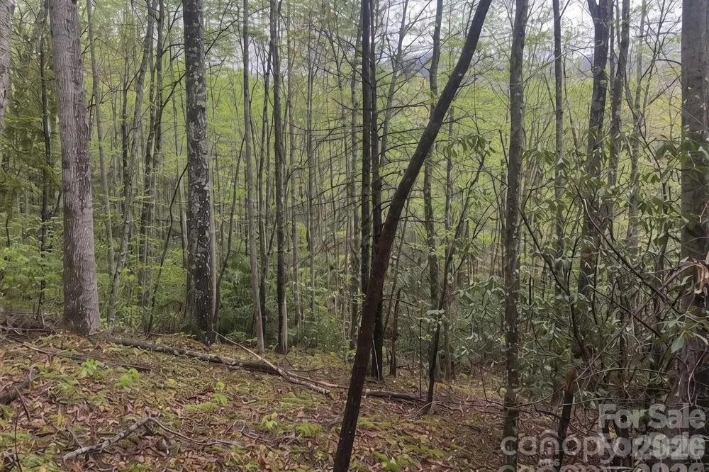 99999 Fairview Forest Drive Fairview, NC 28730