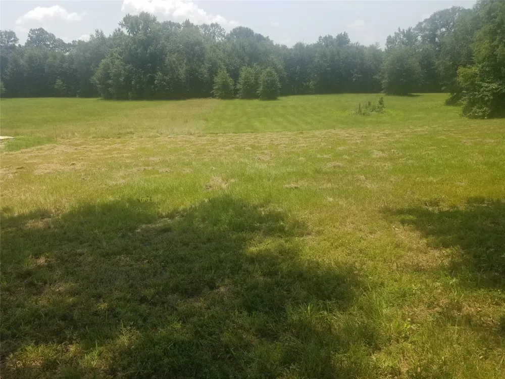 275 Indian Gap Quitman, TX 75783