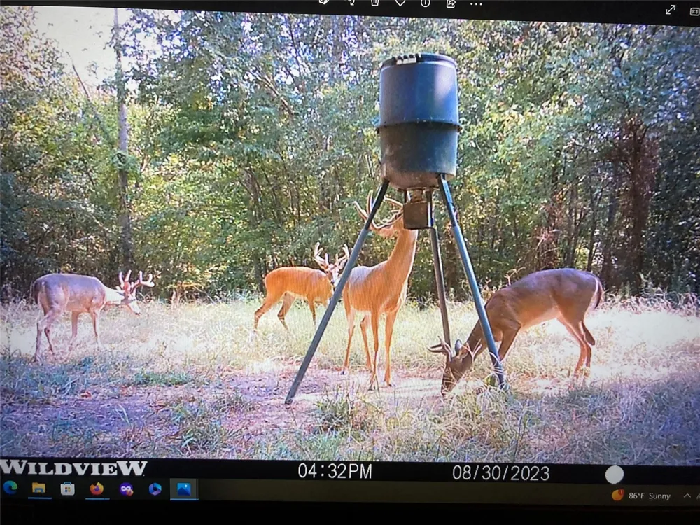 250 County Road 45700 Detroit, TX 75436