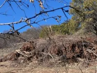 CR 1176 Santa Anna, TX 76878