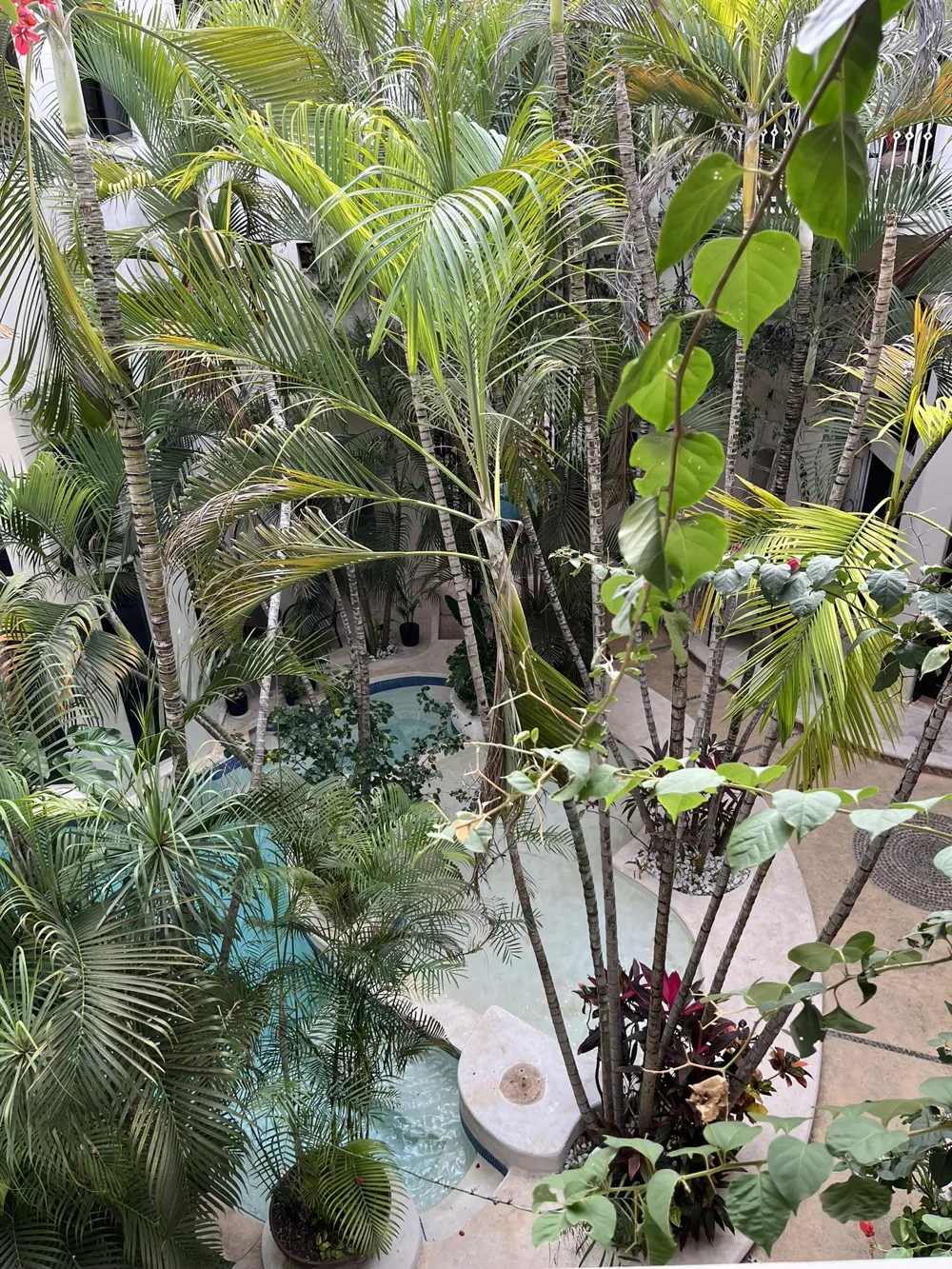 9 Royal Palms Playa del Carmen, TX 77710