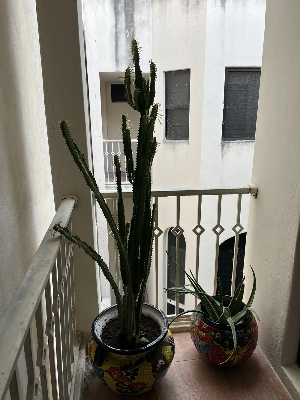 9 Royal Palms Playa del Carmen, TX 77710