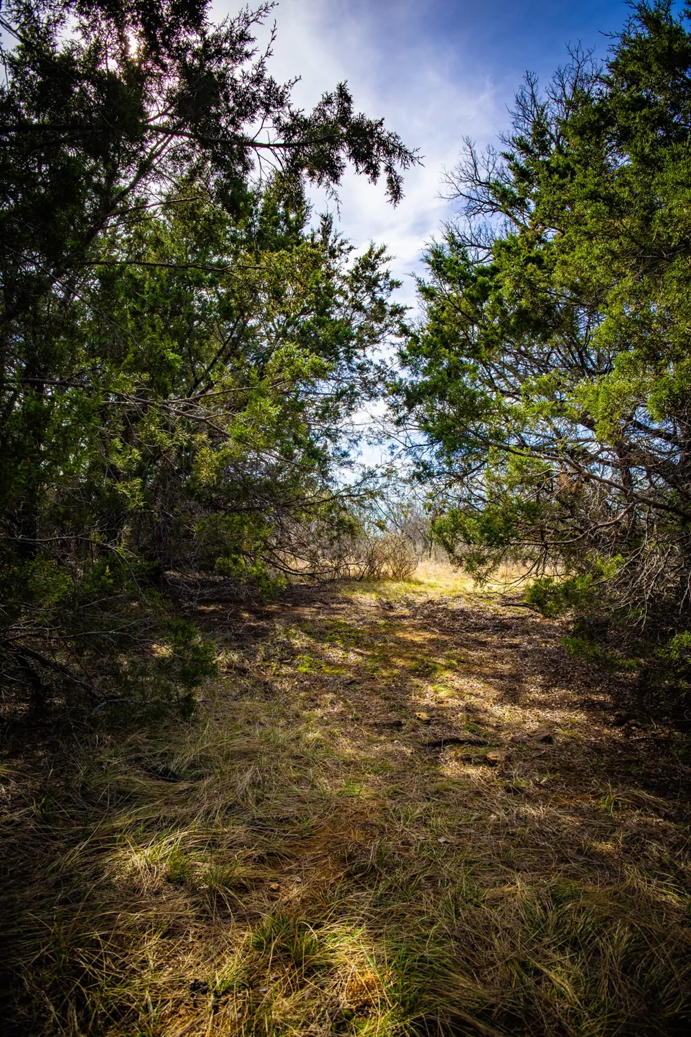 198 S Ranch Road Graham, TX 76450