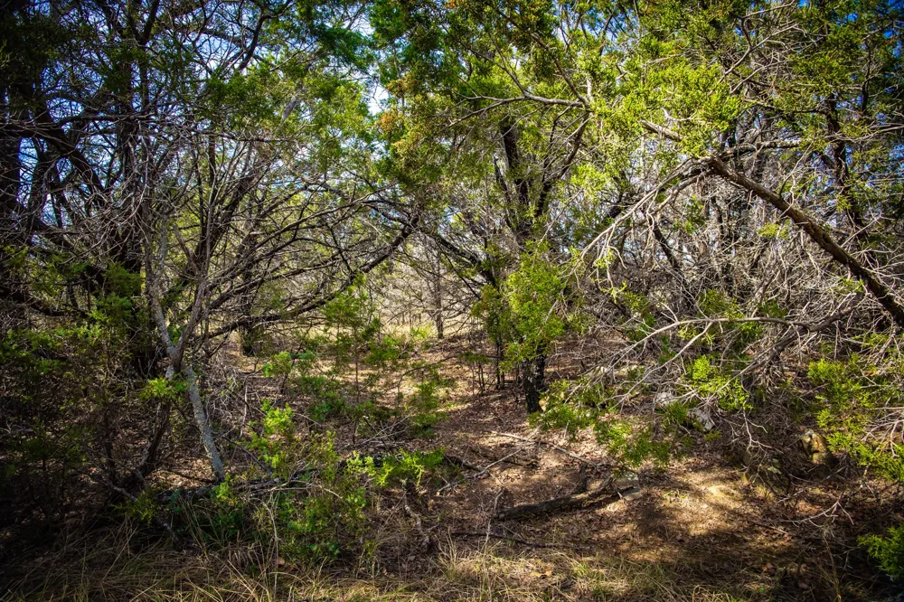 198 S Ranch Road Graham, TX 76450