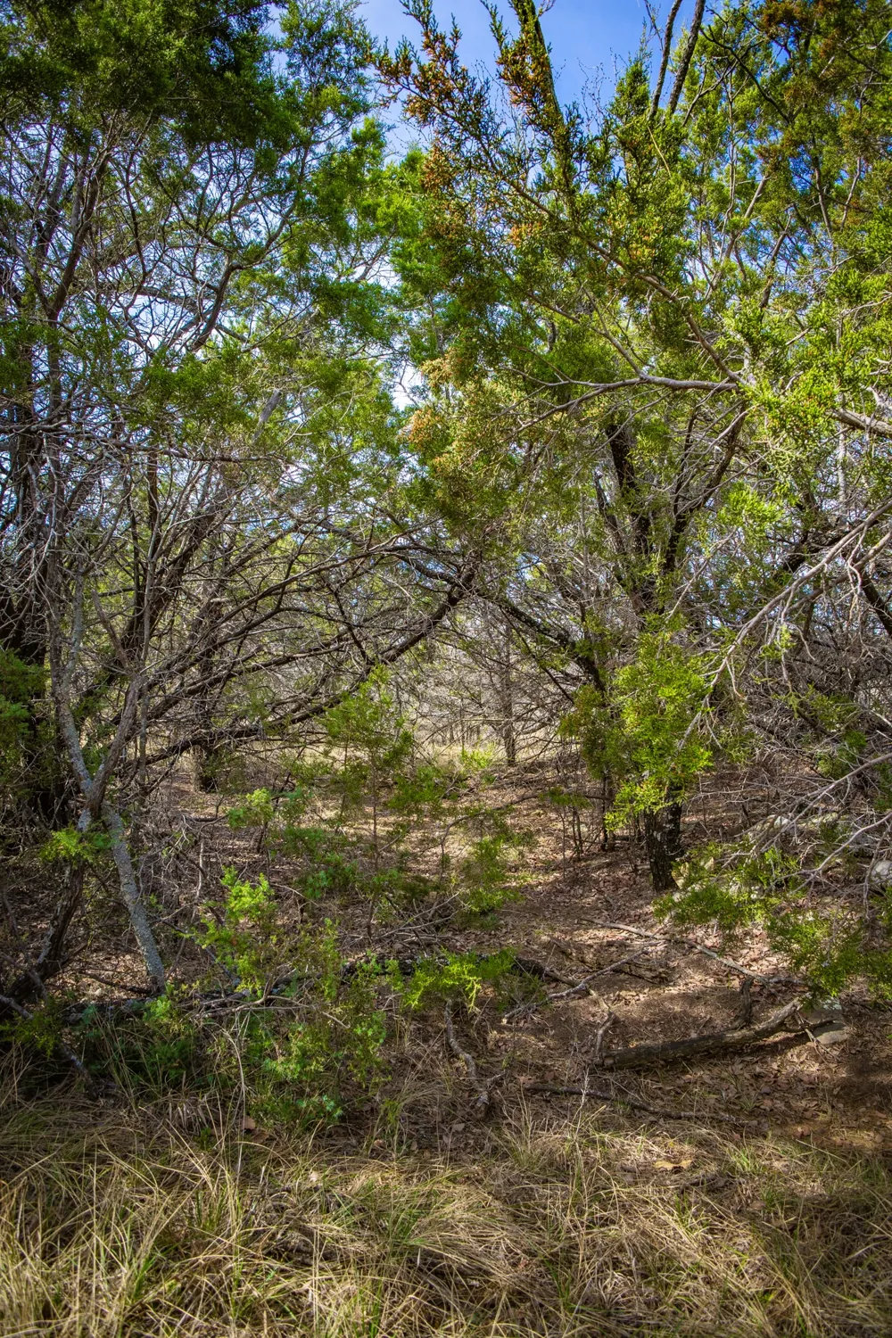 198 S Ranch Road Graham, TX 76450