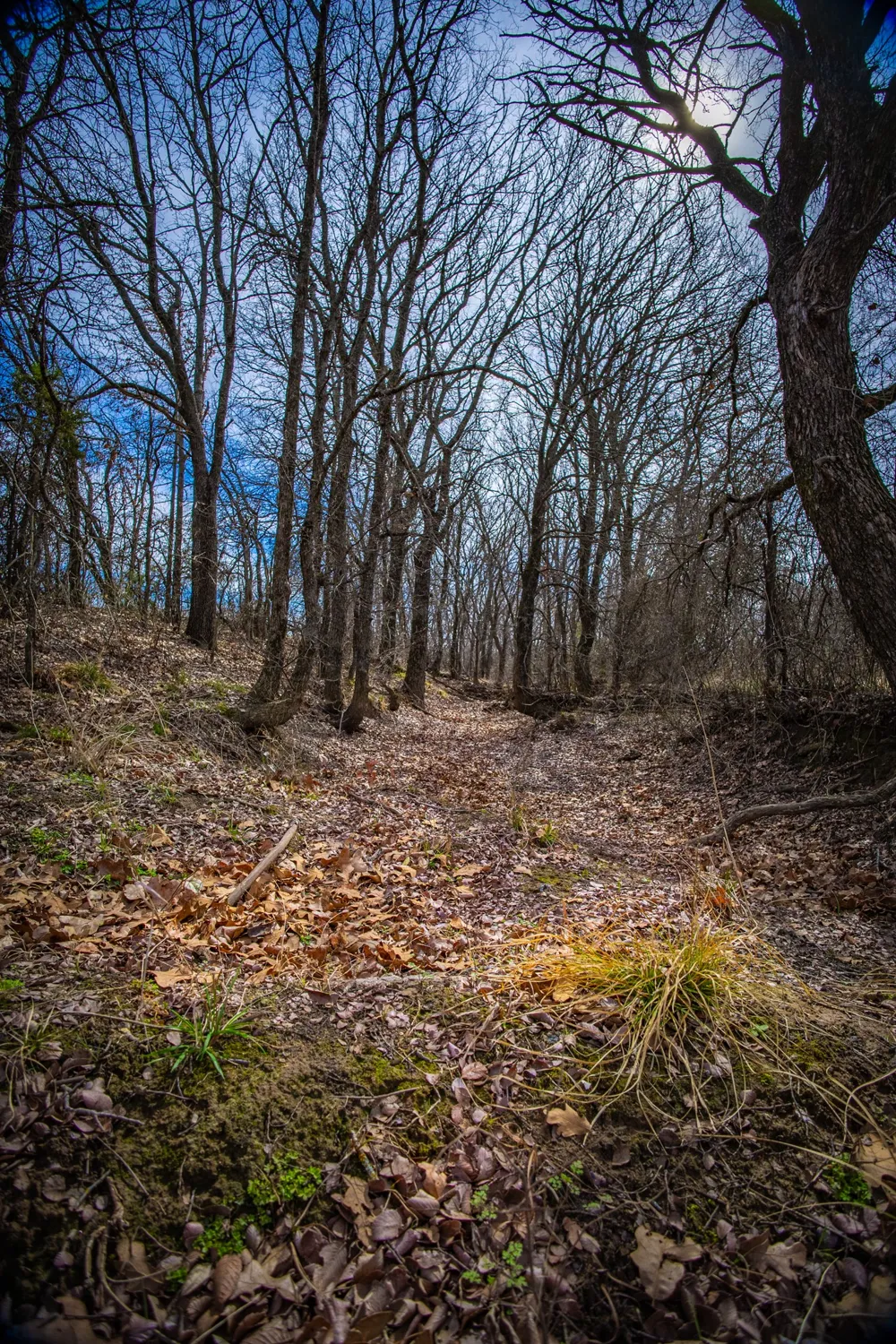 198 S Ranch Road Graham, TX 76450