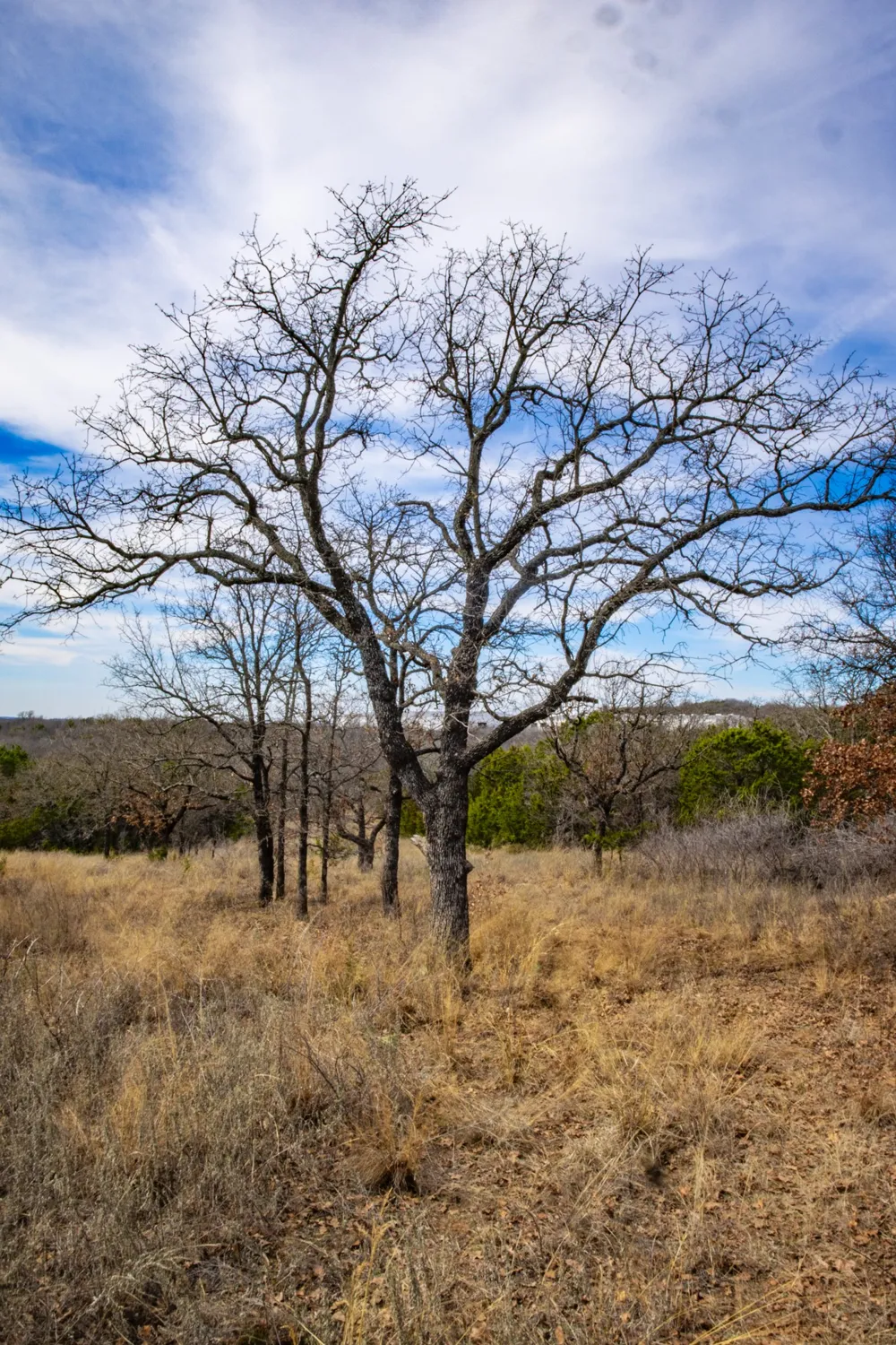198 S Ranch Road Graham, TX 76450