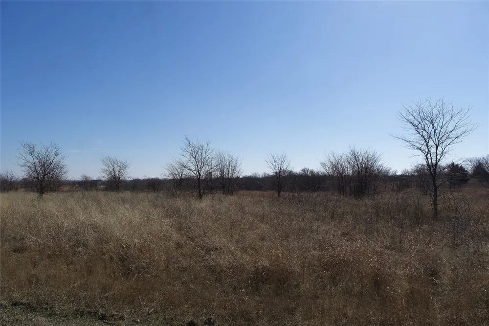 Willow Court St Jo, TX 76265