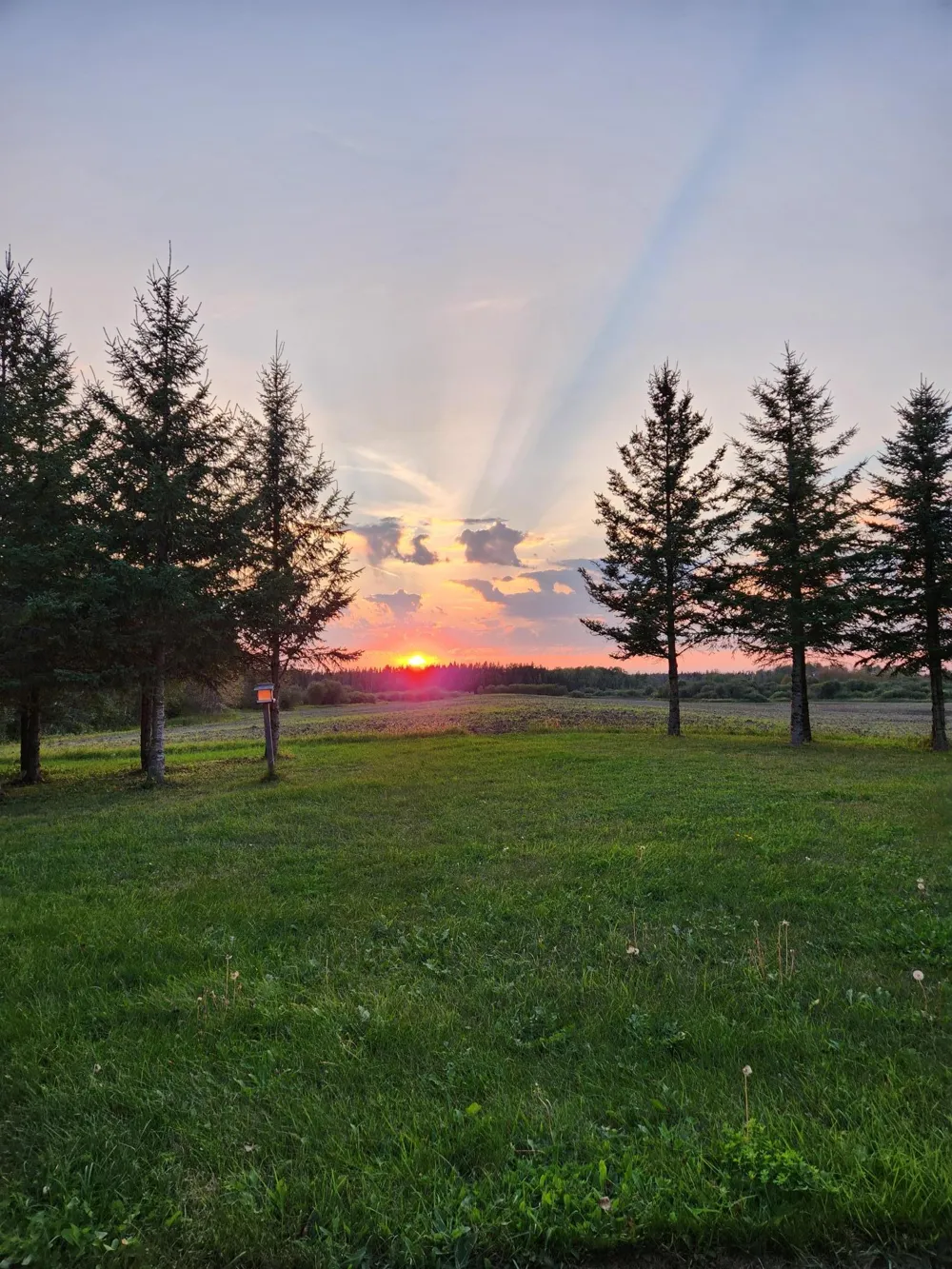 9453 Alango Road Angora, MN 55703