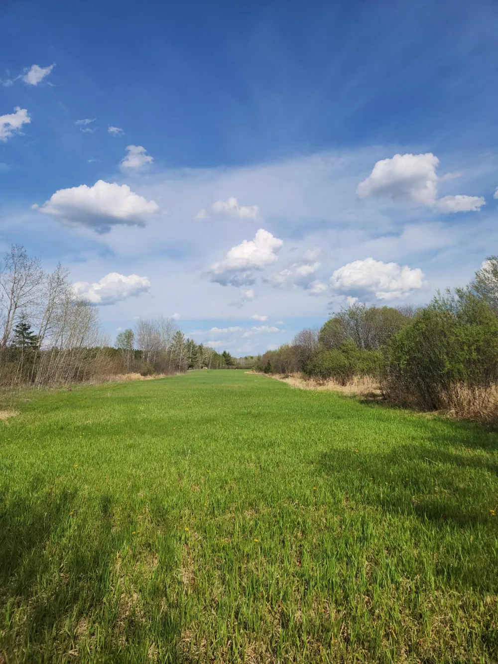 9453 Alango Road Angora, MN 55703