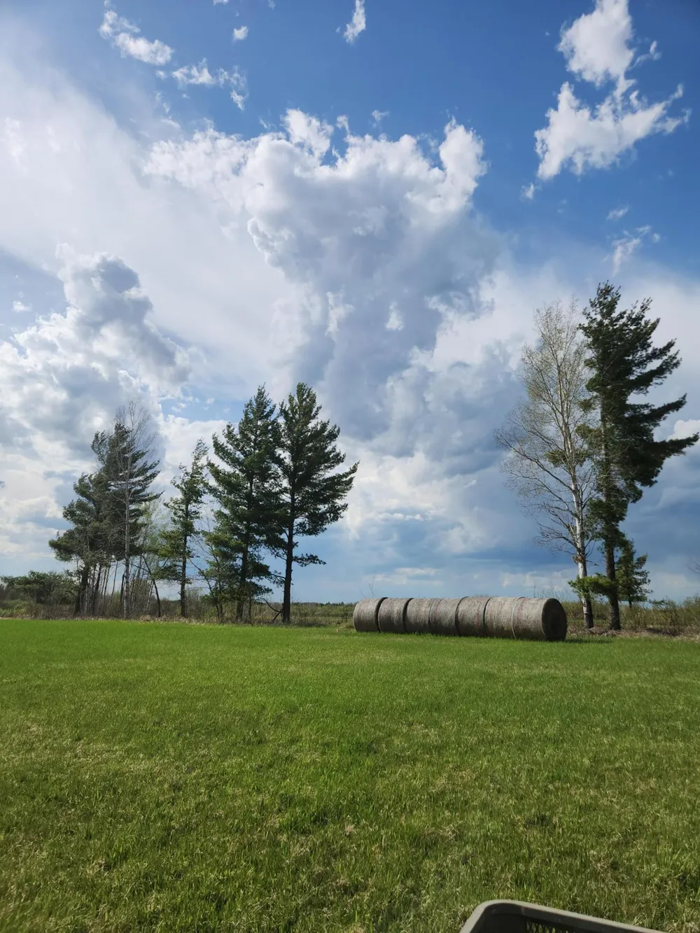 9453 Alango Road Angora, MN 55703