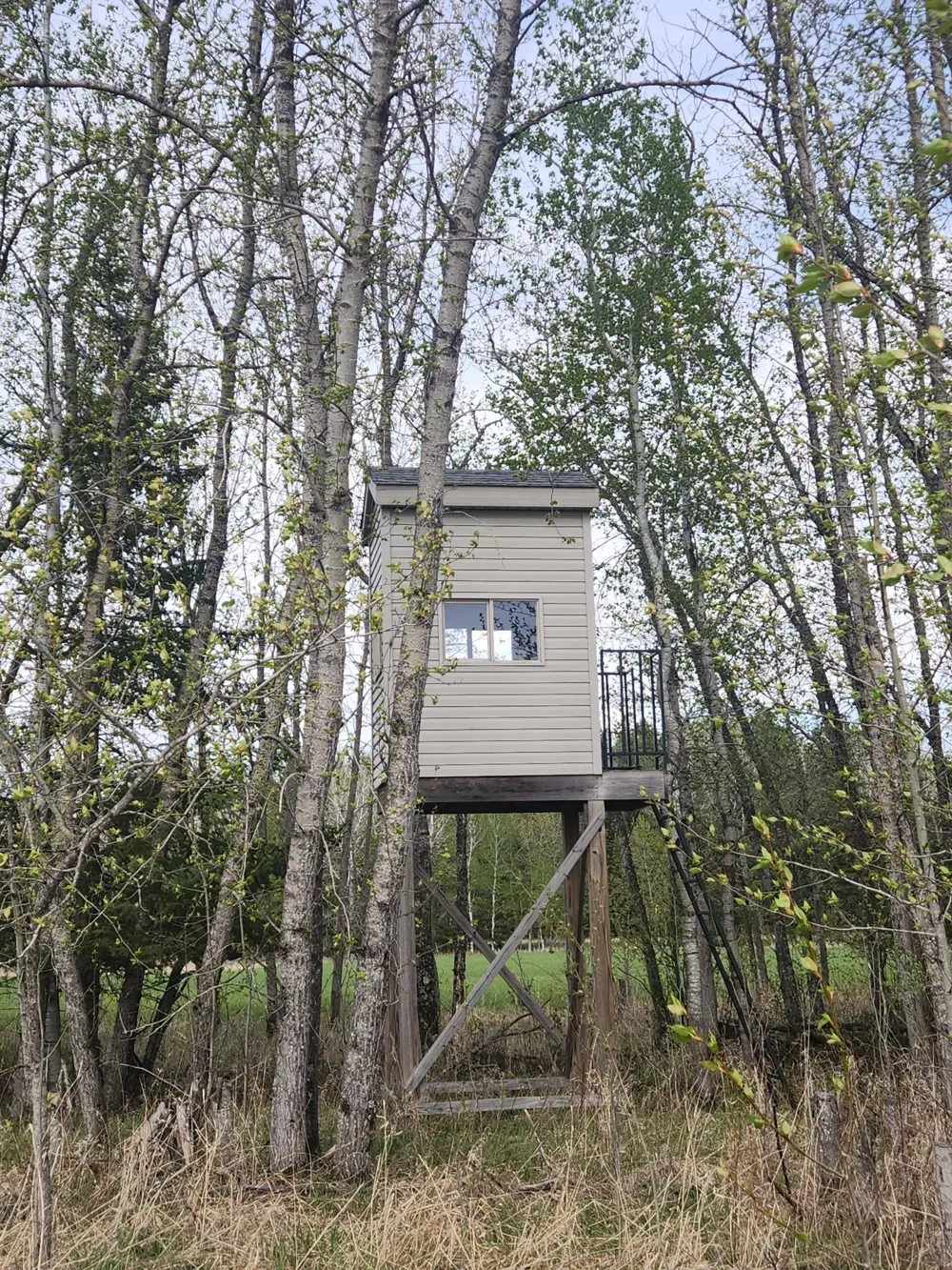 9453 Alango Road Angora, MN 55703
