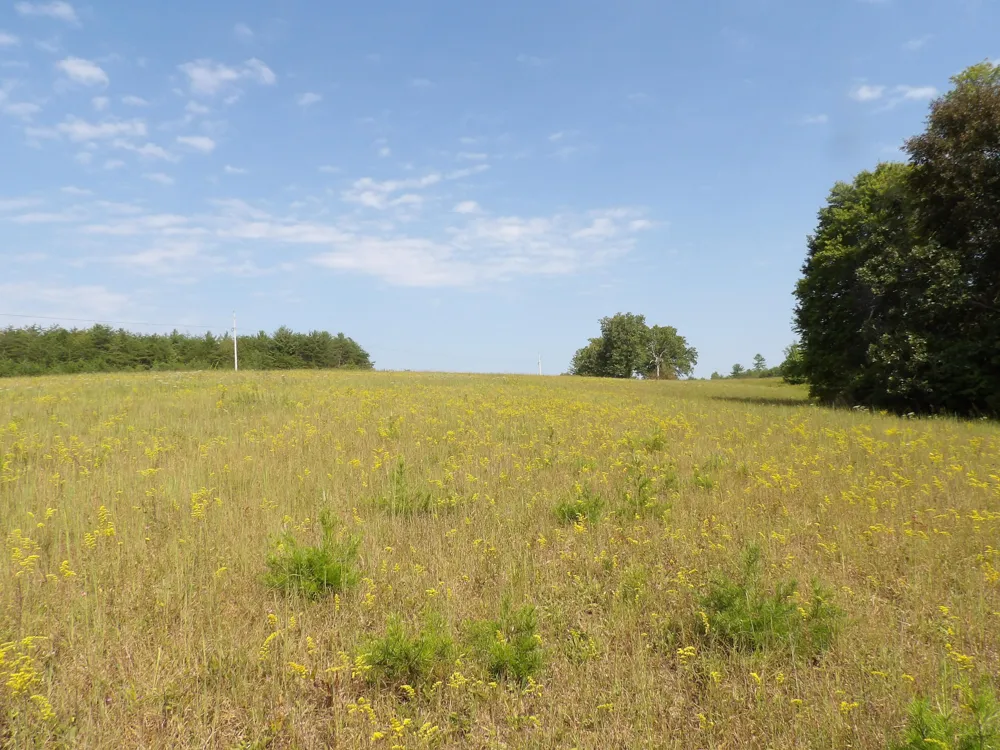 243 Mountain View Drive Deer Lodge, TN 37726