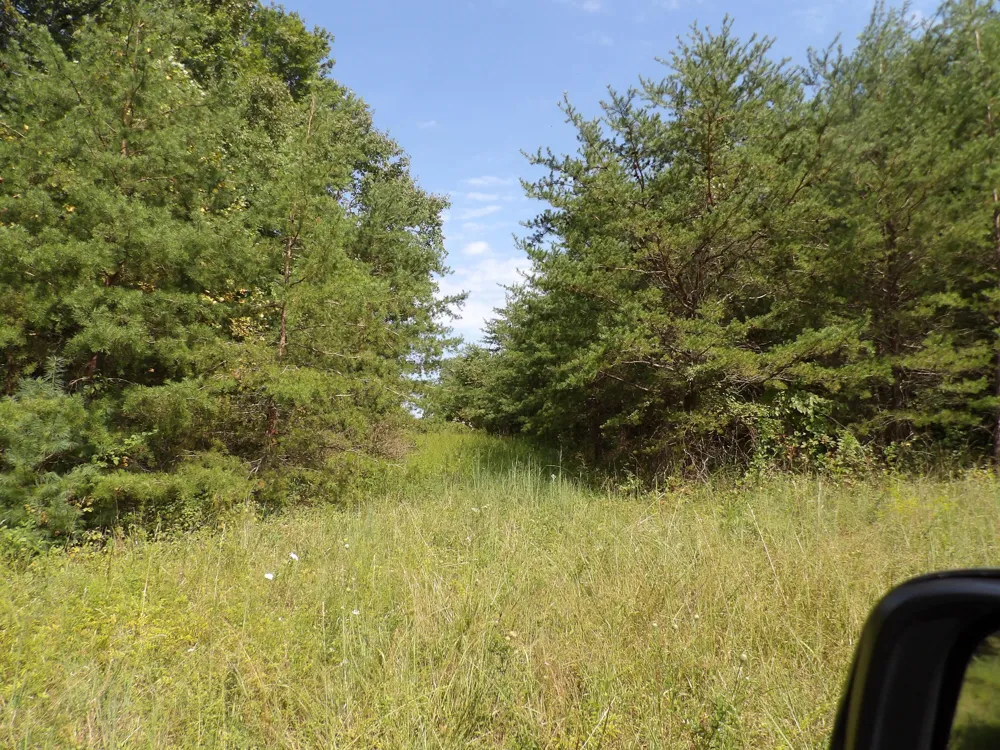 243 Mountain View Drive Deer Lodge, TN 37726