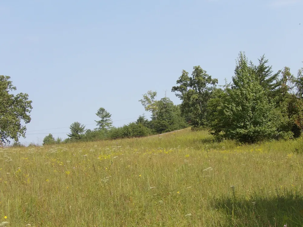 243 Mountain View Drive Deer Lodge, TN 37726