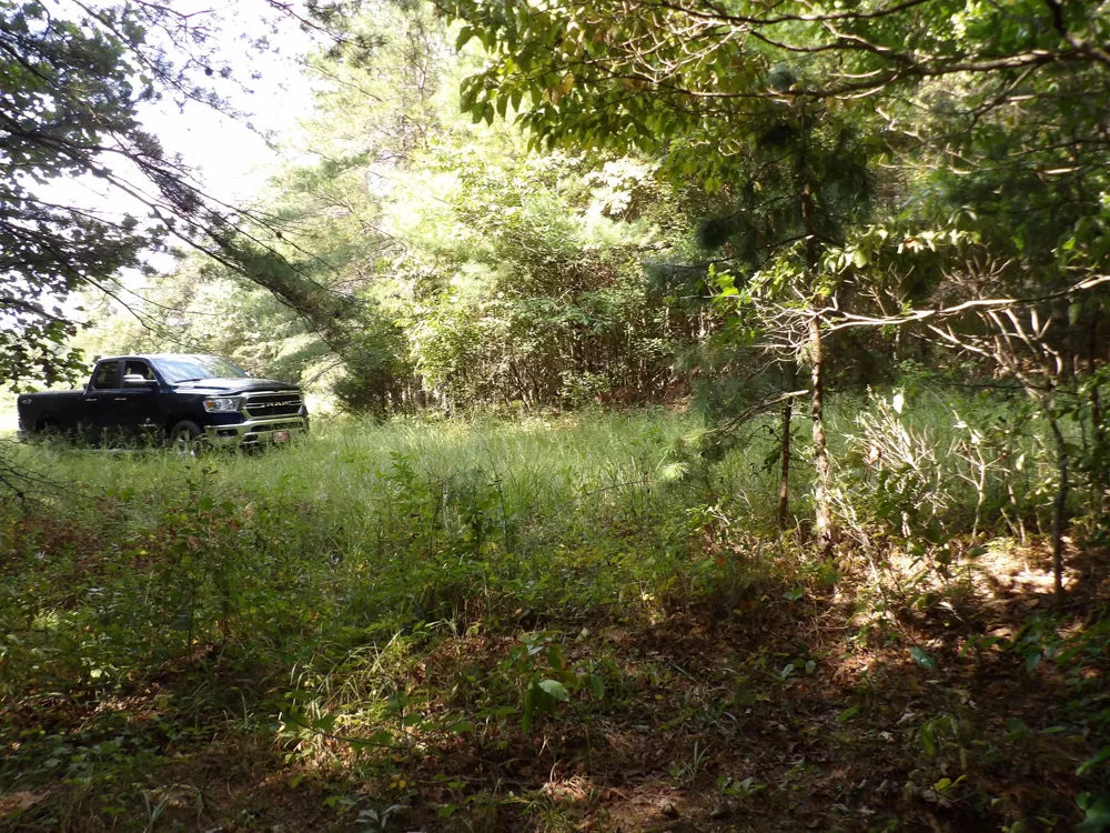243 Mountain View Drive Deer Lodge, TN 37726