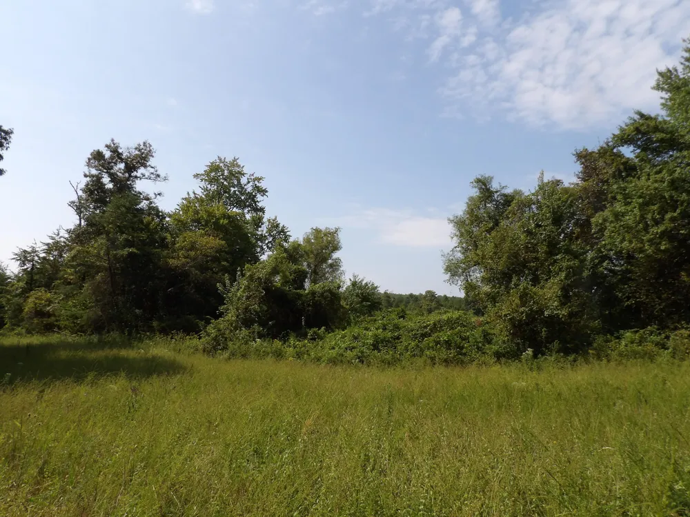 243 Mountain View Drive Deer Lodge, TN 37726