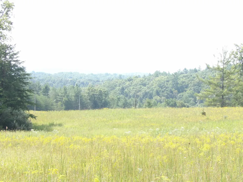 243 Mountain View Drive Deer Lodge, TN 37726