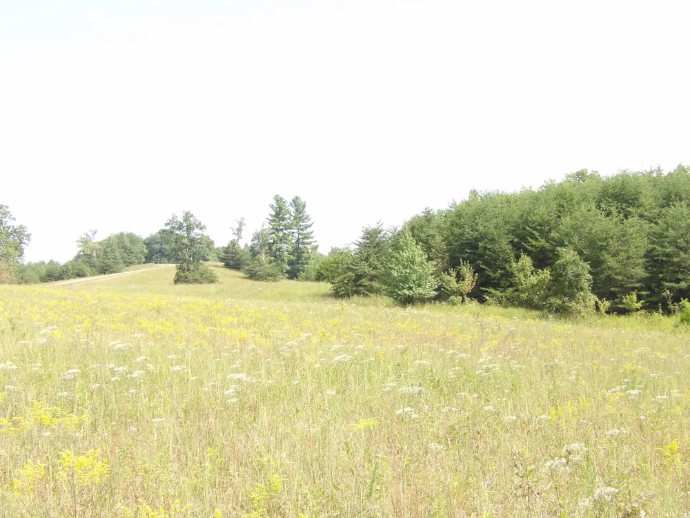 243 Mountain View Drive Deer Lodge, TN 37726