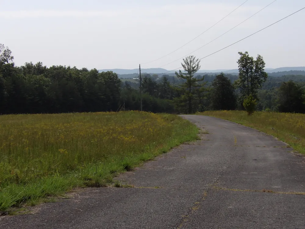 243 Mountain View Drive Deer Lodge, TN 37726