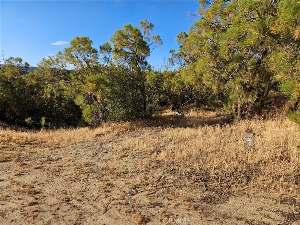 59600 Burnt Valley Road Anza, CA 92539